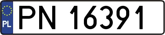 PN16391