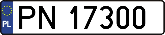 PN17300