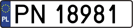 PN18981