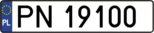 PN19100