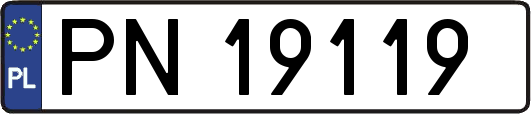 PN19119