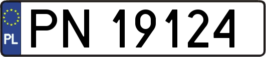 PN19124