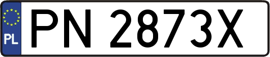 PN2873X