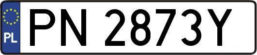 PN2873Y