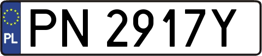 PN2917Y