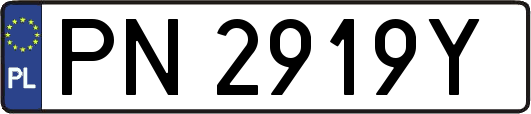 PN2919Y