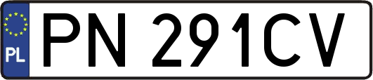 PN291CV