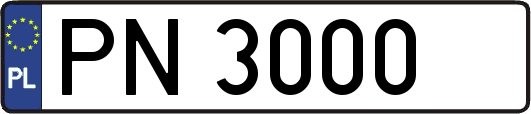 PN3000