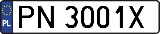 PN3001X