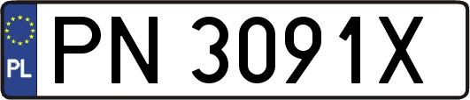 PN3091X