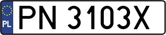 PN3103X