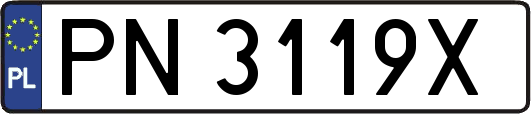 PN3119X