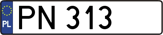PN313