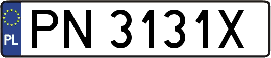 PN3131X
