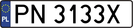 PN3133X