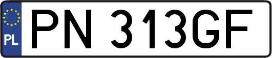 PN313GF