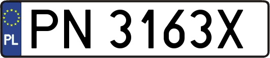 PN3163X