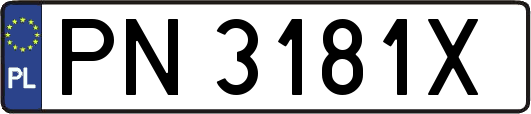 PN3181X