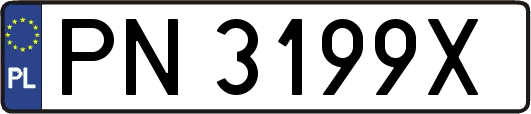 PN3199X