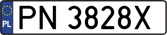 PN3828X