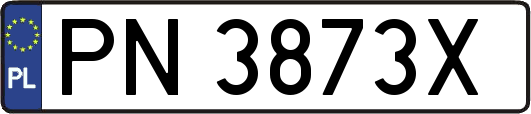 PN3873X