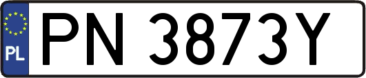 PN3873Y