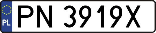 PN3919X