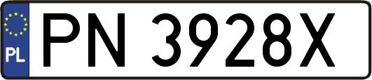 PN3928X