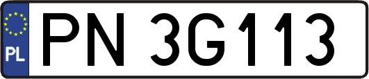 PN3G113