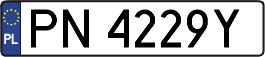PN4229Y