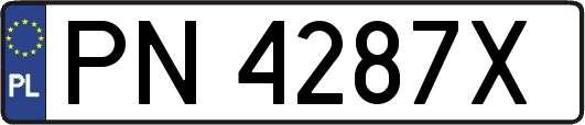 PN4287X