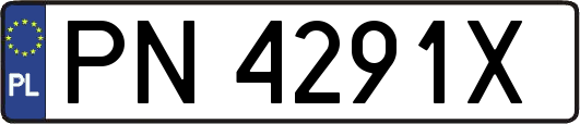 PN4291X
