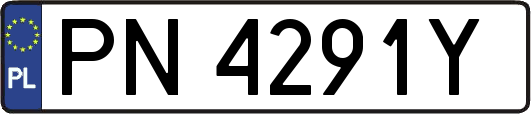 PN4291Y