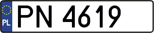 PN4619