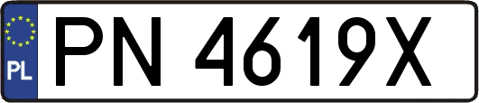 PN4619X