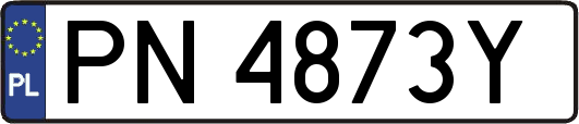 PN4873Y