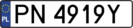 PN4919Y