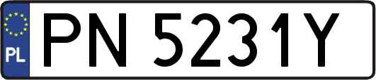 PN5231Y