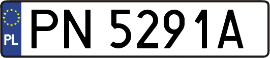PN5291A