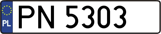 PN5303