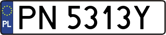 PN5313Y