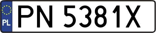 PN5381X