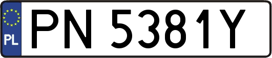 PN5381Y