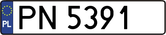 PN5391