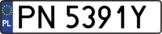 PN5391Y