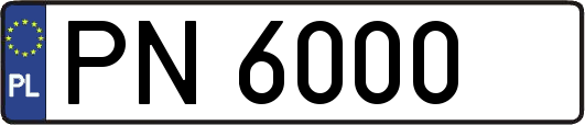 PN6000
