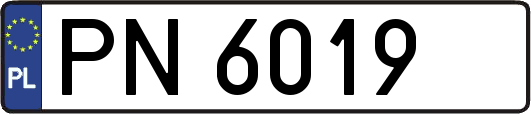 PN6019