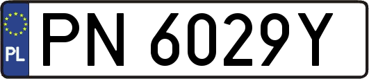 PN6029Y