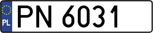 PN6031