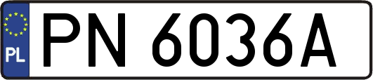 PN6036A